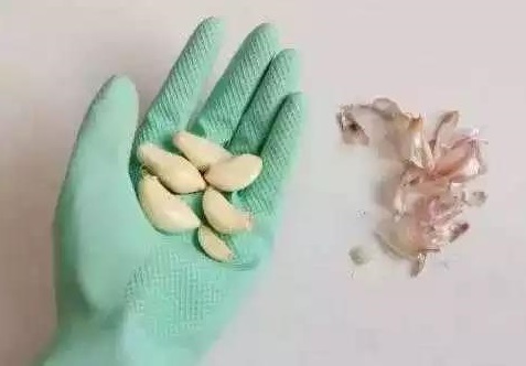 橡胶手套.jpg